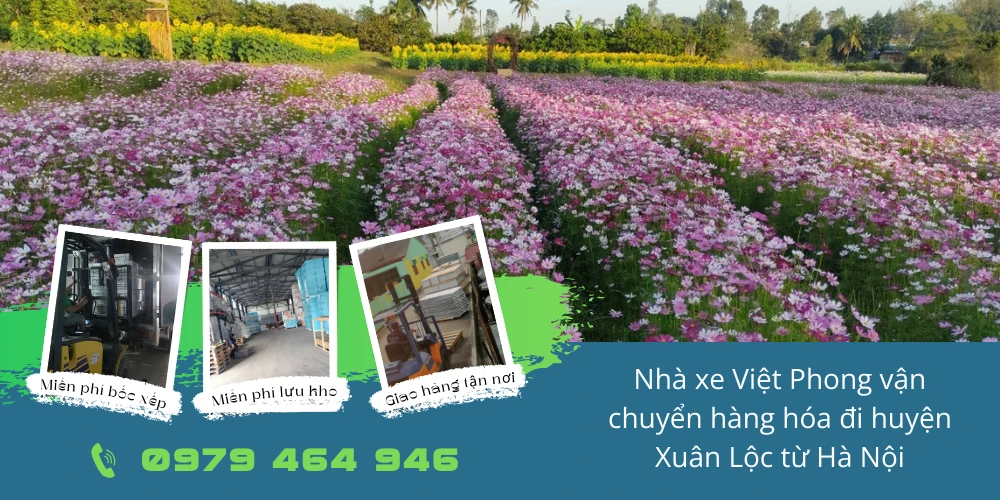 Nhà xe Việt Phong vận chuyển hàng hóa đi huyện Xuân Lộc từ Hà Nội